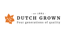 Dutch Grown