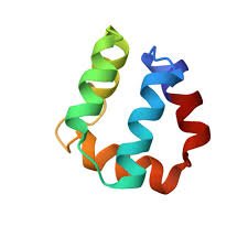 1e68.com