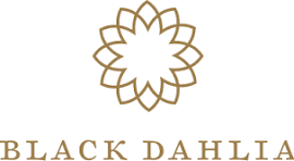 Black Dahlia